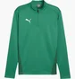 Кофта мужская Puma Teamgoal Training 1/4 Sweatshirt Rits Green 658629-05
