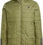 Пуховик мужской Adidas Hooded Jacket Terrex Itavic L Ho Jkt Olive GT1685