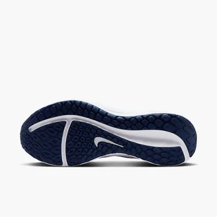Кросівки чоловічі Nike Downshifter 13 Light Blue FD6454-012