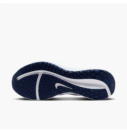 Кросівки чоловічі Nike Downshifter 13 Light Blue FD6454-012