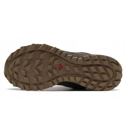 Кросівки чоловічі Salomon Wander Gtx Brown 474366