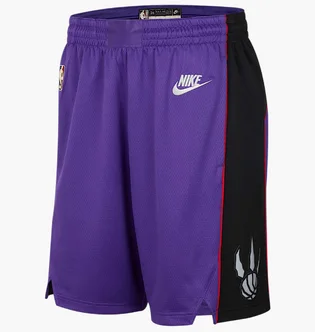 Шорты мужские Nike Toronto Nba Violet FQ4696-504