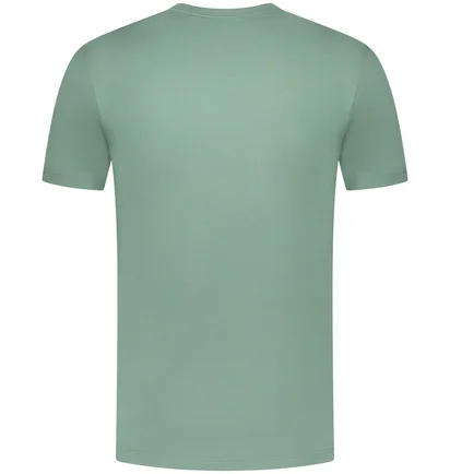Футболка мужская C.P. Company T-Shirt Green 16CMTS068A-005100W-GREEN-BAY