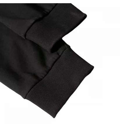 Штаны мужские The North Face Joggers Nse Black NF0A4SVQJK3