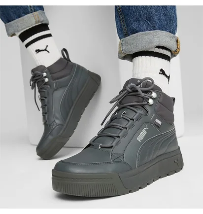 Кроссовки мужские Puma Tarrenz Sb Iii Grey 392628-03