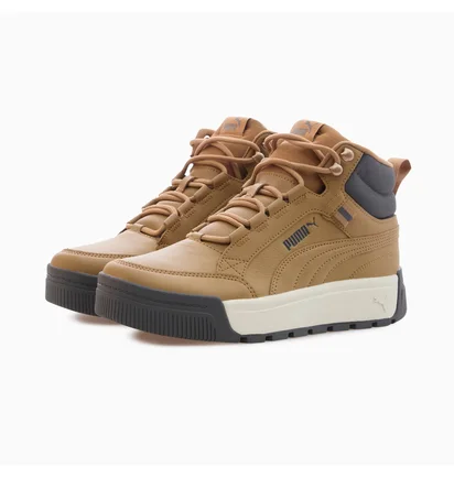 Ботинки унисекс Puma Tarrenz Sb Iii Beige 392628-02