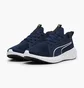 Кроссовки унисекс Puma Softride Carson Running Shoes Blue 310154-02