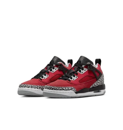 Кроссовки детские Air Jordan Spizike Low Bordo FQ3950-600