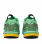 Кросівки чоловічі Asics Hs4-S Gel-Sonoma 15-50 Gore-Tex Green 1201A440-300