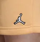 Шорты женские Air Jordan Brooklyn Fleece Beige DX0380-251