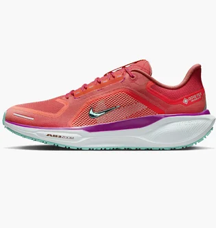 Кроссовки мужские Nike Air Zoom Pegasus 41 Gtx Red HM8872-600