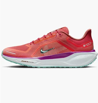 Кроссовки мужские Nike Air Zoom Pegasus 41 Gtx Red HM8872-600