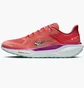 Кроссовки мужские Nike Air Zoom Pegasus 41 Gtx Red HM8872-600