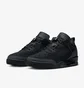 Кросівки чоловічі Air Jordan Spizike Black FD1759-001