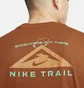 Футболка мужская Nike Trail Dri-Fit Running T-Shirt Brown FD0120-246