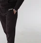 Штани чоловічі Gap Logo Fleece Pants turkish coffee 221236531