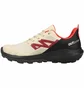 Кросівки чоловічі Salomon Outpulse Gtx Hiking Shoes Beige L41588100