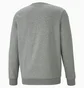Свитшот мужской Puma Essentials+ Two-Tone Big Logo Grey 586762-03