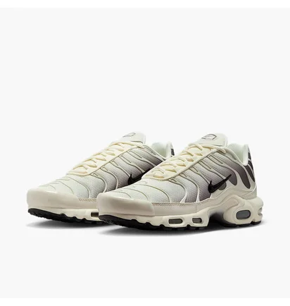 Кросівки чоловічі Nike Air Max Plus Beige DM0032-106
