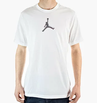 Футболка мужская Air Jordan Dfct Air Perf Gfx Crew White CZ8087-100