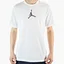 Футболка мужская Air Jordan Dfct Air Perf Gfx Crew White CZ8087-100