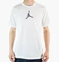 Футболка мужская Air Jordan Dfct Air Perf Gfx Crew White CZ8087-100