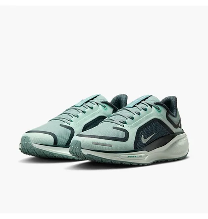 Кросівки жіночі Nike Pegasus 41 Gore Tex Turquoise FQ1357-003