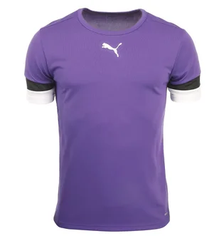Футболка мужская Puma Teamrise Jersey Violet 704932-10