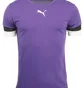 Футболка мужская Puma Teamrise Jersey Violet 704932-10