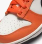 Кроссовки детские Nike Dunk Low Halloween 2022 Orange Dh9765-003