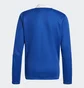 Олимпийка детская Adidas Tiro 21 Track Jacket Blue Gm7315
