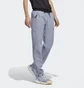 Штаны женские Adidas Terrex Liteflex Hiking Tracksuit Bottoms Violet Hn2948