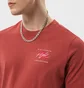 Футболка мужская Air Jordan T-Shirt M J Flt Ess Jdn Air Gfx Crew Bordo DH8968-691