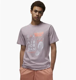 Футболка мужская Air Jordan Brand T-Shirt Grey Dm1424-501