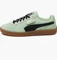 Кроссовки мужские Puma Super Team Suede Green 397514-02