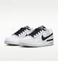 Кроссовки унисекс Nike Sb Zoom Air Paul Rodriguez Low Skate Shoes White HQ6828-100