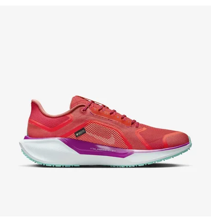 Кроссовки мужские Nike Air Zoom Pegasus 41 Gtx Red HM8872-600