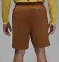 Шорти чоловічі Air Jordan Air Wordmark Brown FJ0700-281