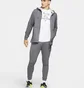 Толстовка чоловіча Nike Dry Men's Dri-FIT Hooded Fitness Full-Zip Grey CZ6376-071