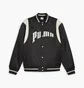 Бомбер мужской Puma Team Varsity Black 623691-01