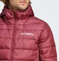 Пуховик чоловічий Adidas Terrex Multi Light Down Hooded Red IP6040