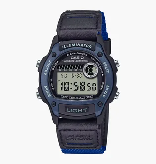 Часы унисекс Casio Timeless Collection W-220HF-2A