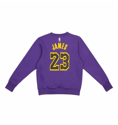 Свитшот мужской Air Jordan Nba Los Angeles Lakers Courtside Statement Edition Violet DN4718-508