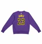 Свитшот мужской Air Jordan Nba Los Angeles Lakers Courtside Statement Edition Violet DN4718-508