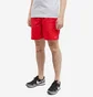 Шорти чоловічі Nike Swim 7 Volley Short Red NESSA559-614