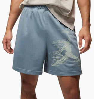 Шорти чоловічі Air Jordan Df Sprt Gfx Light Blue HQ8665-041
