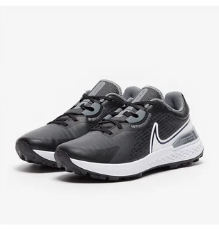 Кросівки чоловічі Nike Infinity Pro 2 Grey DJ5593-001