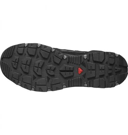Кросівки чоловічі Salomon Techamphibian 5 Black L47115100