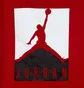Спортивний костюм дитячий Air Jordan Elements Red/Black 65A600-023