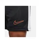 Шорты мужские Nike Academy Black DV9742-015